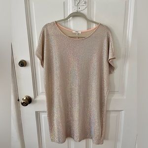 Fun sparkly sequin shift party dress! Great for T.S. Eras Tour outfit.
